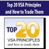 Top 20 VSA Principles & How to Trade Them | Available Now !