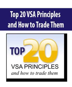 Top 20 VSA Principles & How to Trade Them | Available Now !