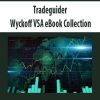 Tradeguider – Wyckoff VSA eBook Collection | Available Now !