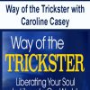 Way of the Trickster with Caroline Casey | Available Now !