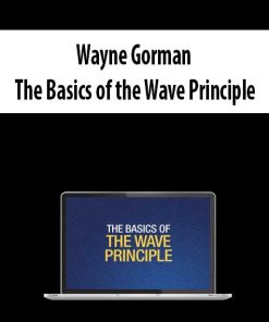 Wayne Gorman – The Basics of the Wave Principle | Available Now !